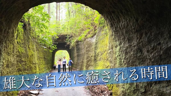 奇観 自然と人工物の 調和 神秘的すぎるトンネル 乗りものニュース 奇観 自然と人工物の 調和 神秘的すぎるトンネル 乗りものニュース