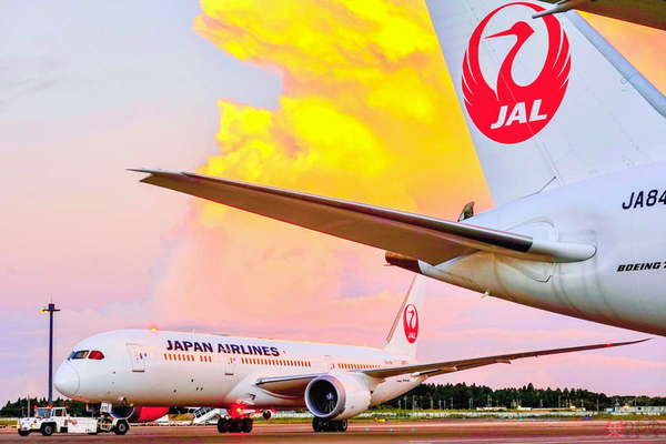 JALの「鶴丸」どう誕生? 実は「鶴」「丸」でもない案も 生みの親に聞く秘話が凄すぎた! | 乗りものニュース