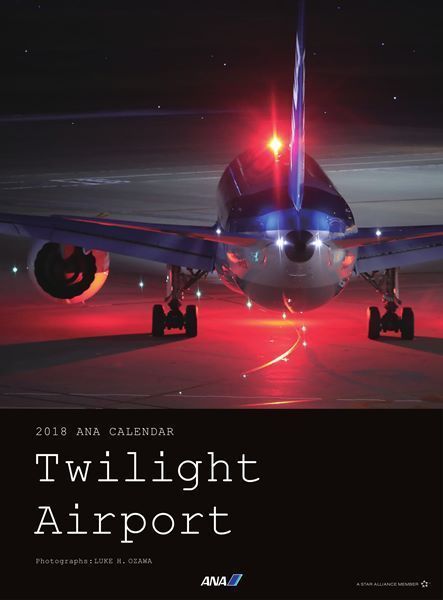 Large twilight airport