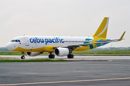 Large 181115 cebuchitose 01