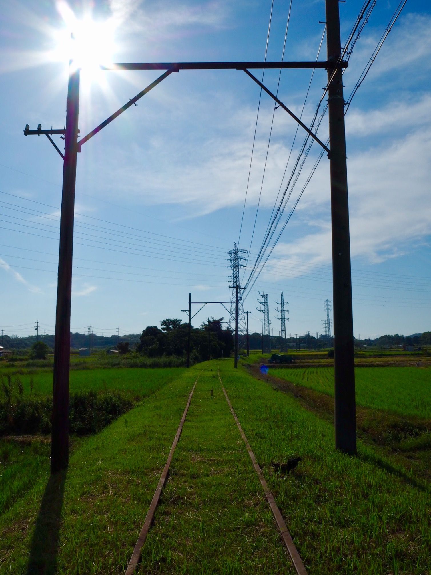 A50efd23 fc14 4a90 9c07 78431c308d9e