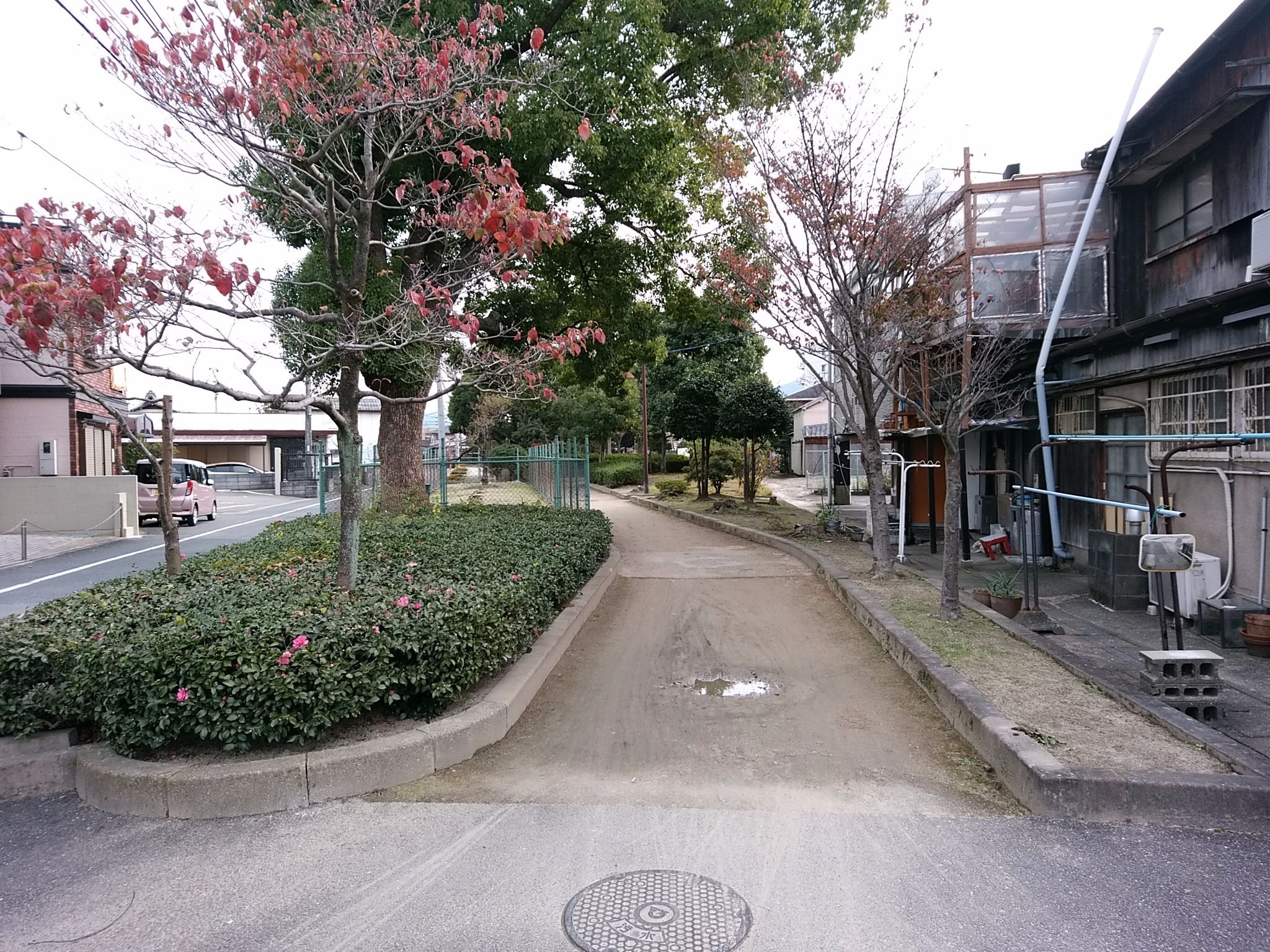 福岡県糟屋郡志免町の勝田線跡です。 上... みんなの乗りものニュース