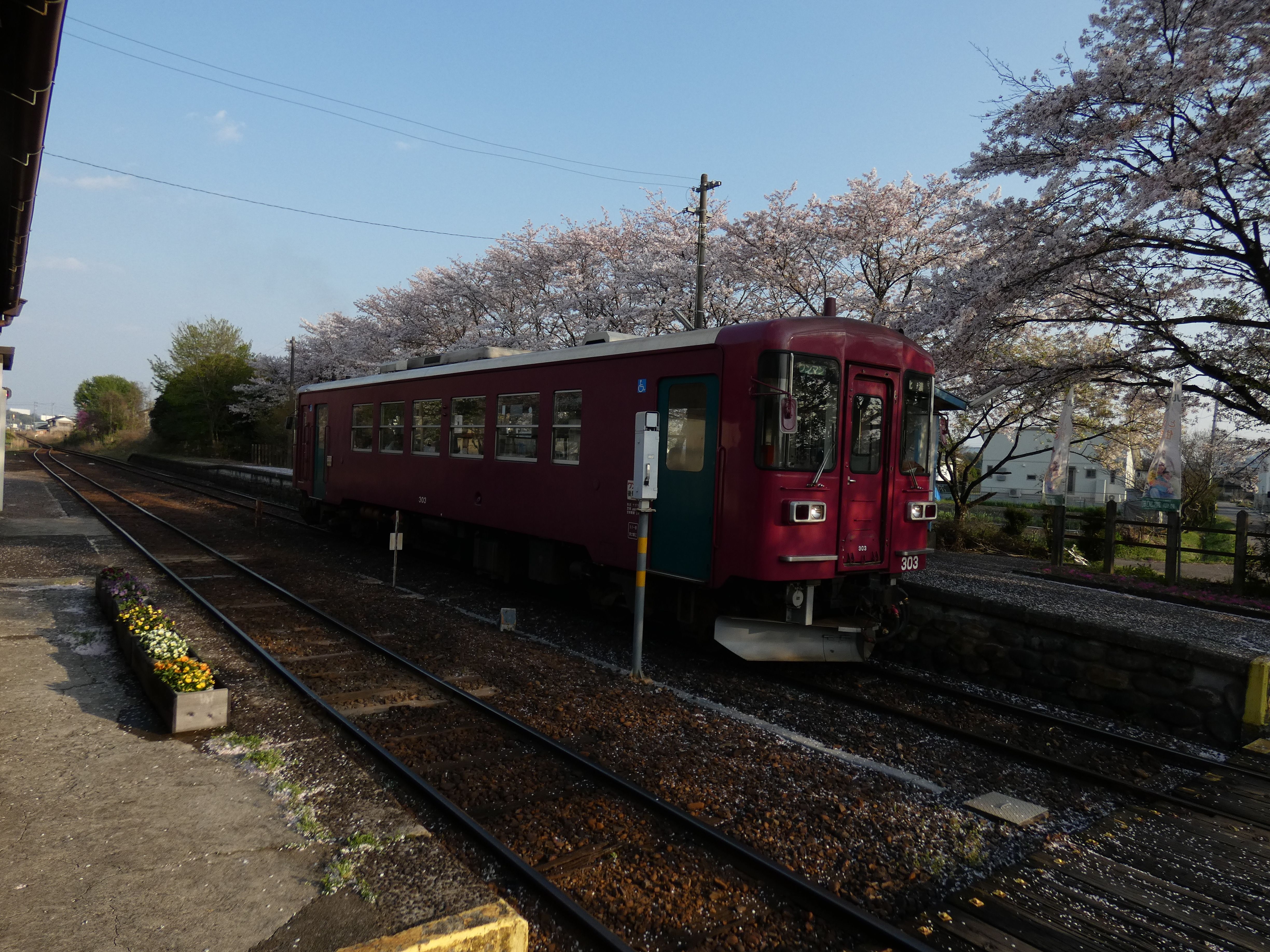 2aea5815 4a67 46b8 94f7 1b847e1e491a